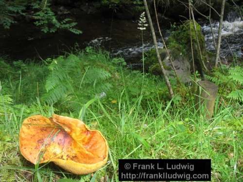 Gleniff Horseshoe